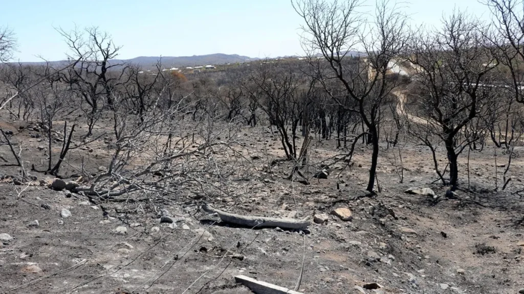 Una de las zonas afectadas por los incendios.