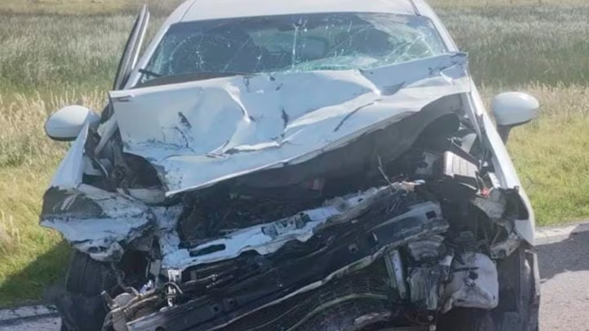 Tragedia en Ruta Nacional 7: un joven murió al chocar contra un camión ...