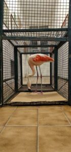 Policía de Córdoba