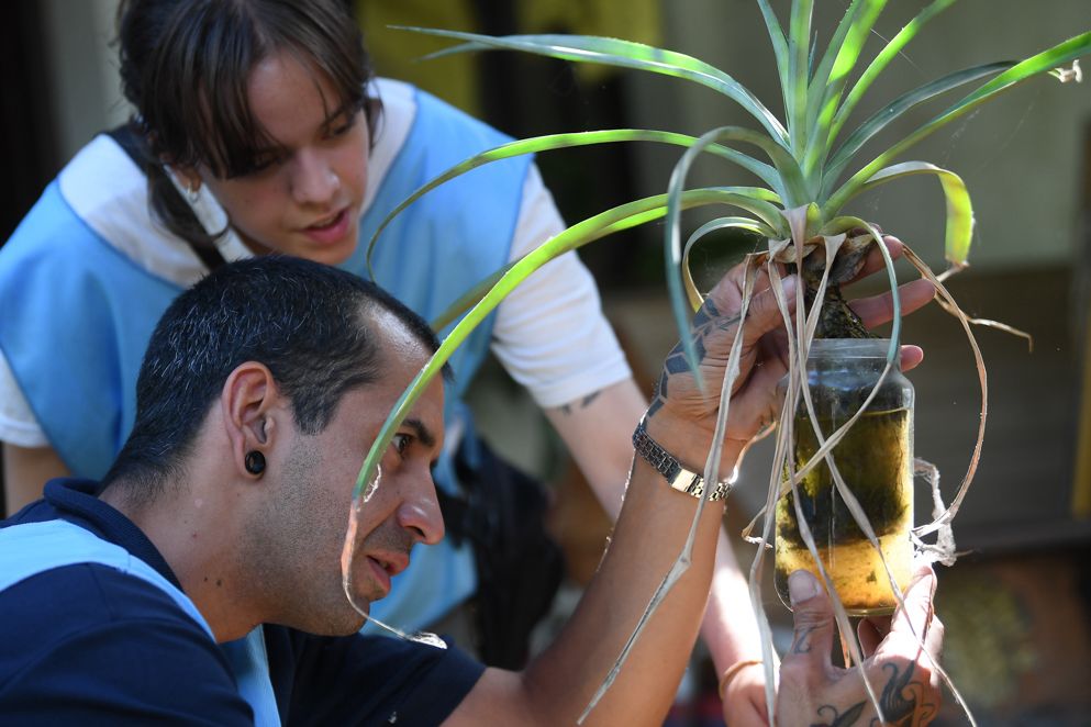 Arrancó el primer monitoreo aédico de la temporada en Córdoba: promotores recorren barrios clave