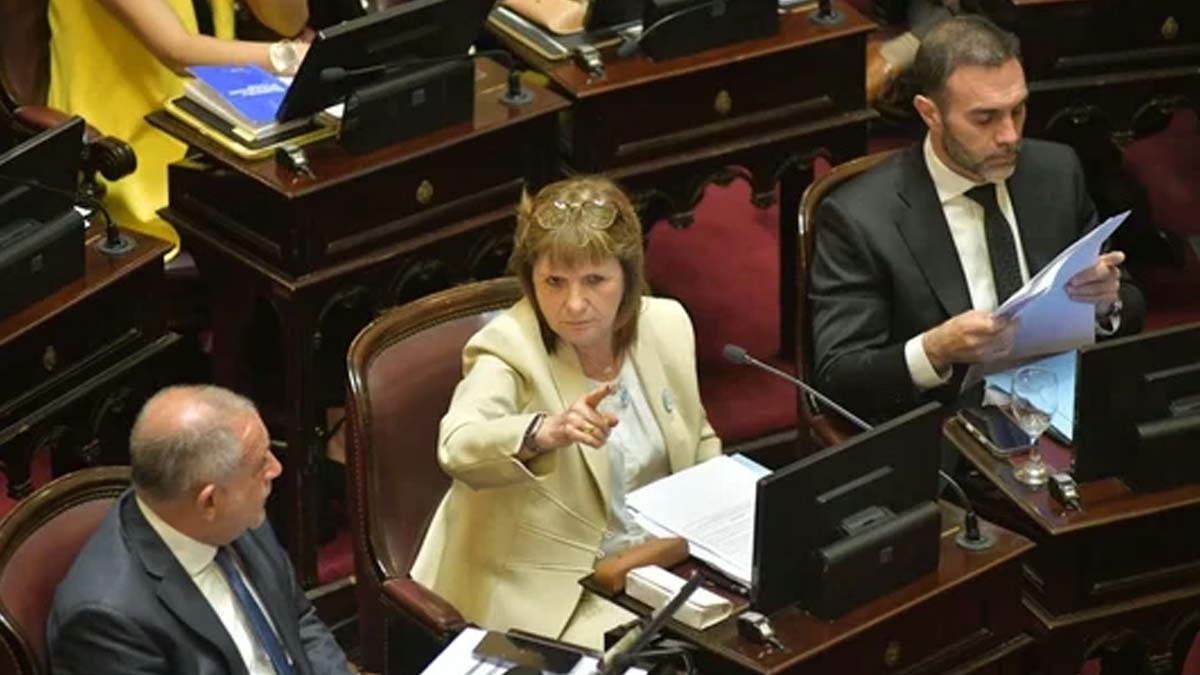 El Senado retoma el debate de reforma electoral, pero sin los votos para eliminar las PASO