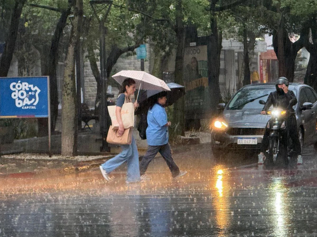Alerta por granizo e inundaciones directo al celular: el proyecto para revolucionar la prevención en Córdoba